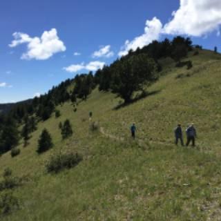 Hikers on mountain trail